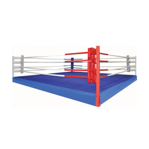 COMPTETION RING - Image 2