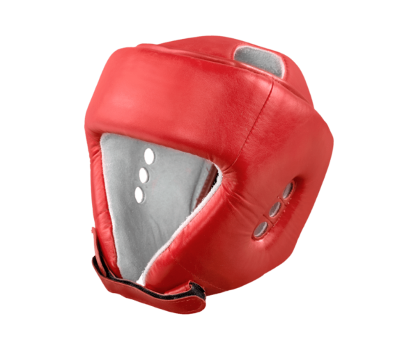METALLIC LEATHER HEAD GUARDS