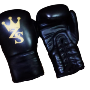 ORIGNAL BOXING GLOVES