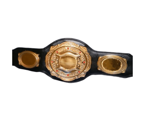 CHAMPIONSHIP BELT - Image 2