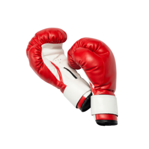 VELCRO BOXING Gloves