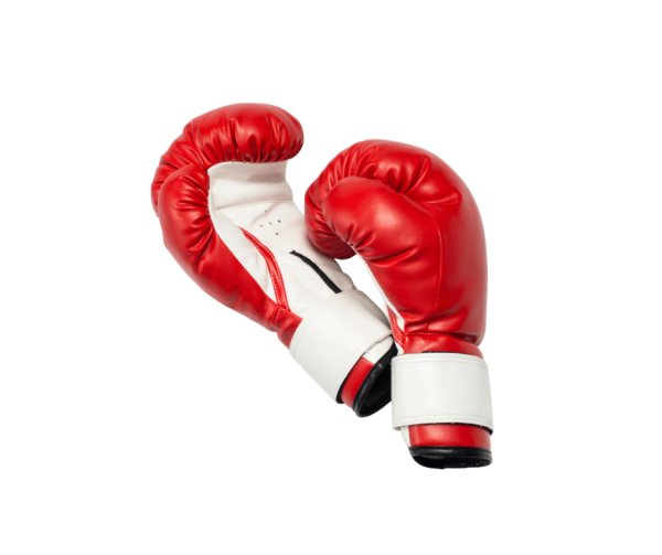 VELCRO BOXING Gloves