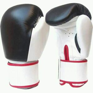 ORIGNAL BOXING GLOVES