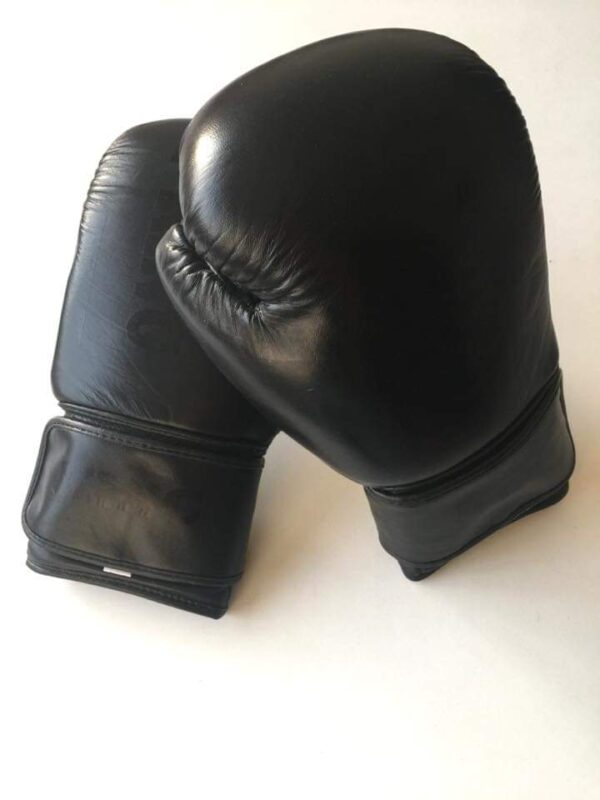 ORIGNAL BOXING GLOVES