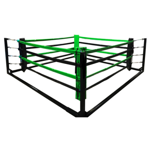 COMPTETION RING - Image 3
